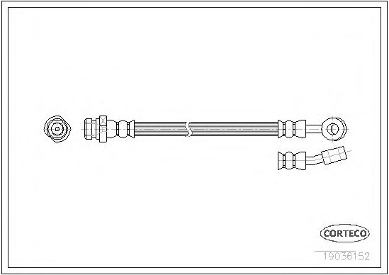 19036152 CORTECO  