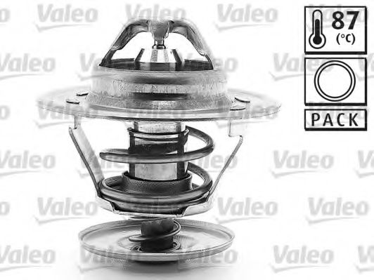 819868 VALEO ,  