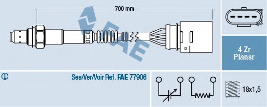 77141 FAE -