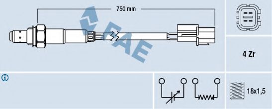 77291 FAE -