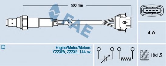 77303 FAE -