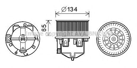 AU8221 AVA ,  