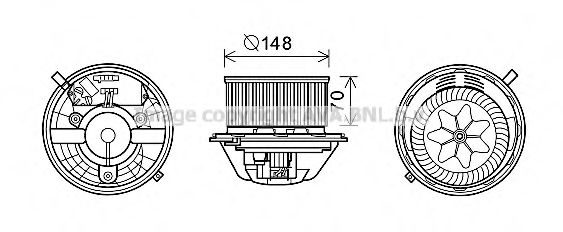 BW8462 AVA ,  