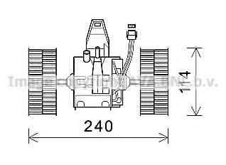 BW8491 AVA ,  