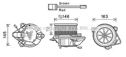 CN8294 AVA ,  