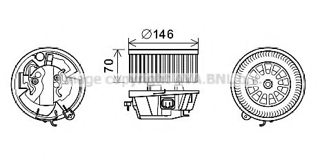 CN8296 AVA ,  