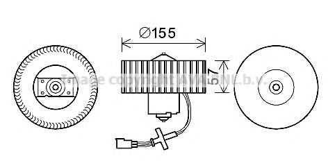 FD8568 AVA ,  