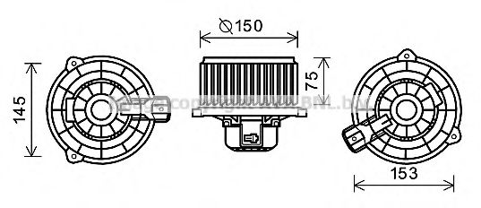 KA8243 AVA ,  