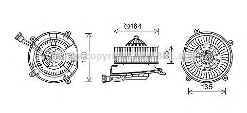 MS8651 AVA ,  