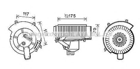 OL8646 AVA ,  