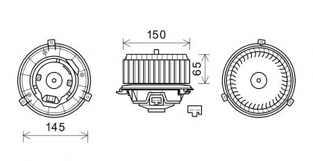 OL8674 AVA ,  