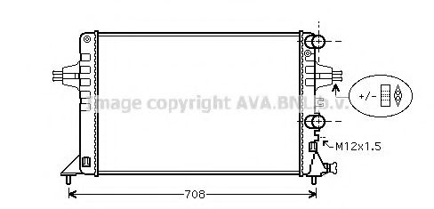 OLA2444 AVA ,  