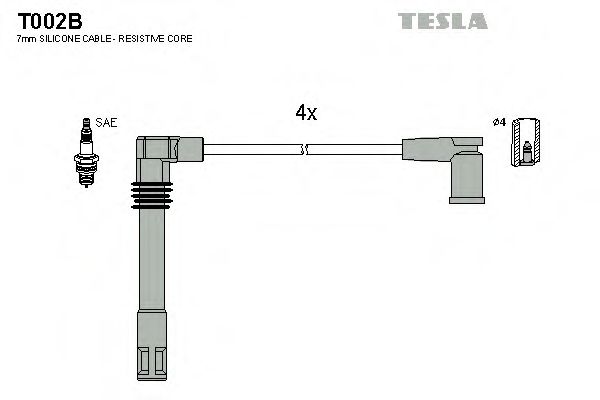 T002B TESLA   