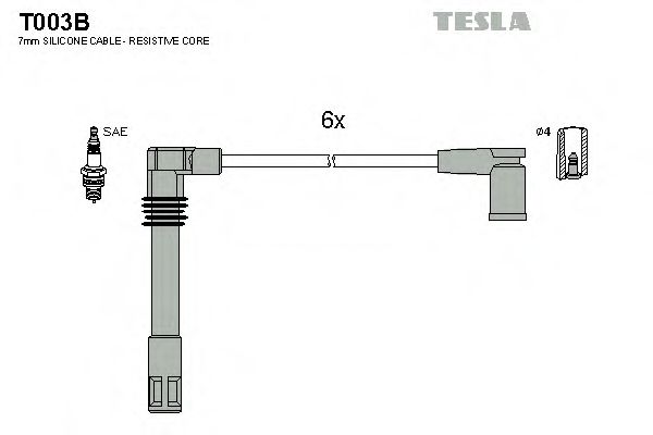 T003B TESLA   