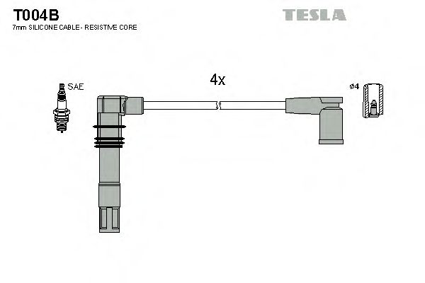 T004B TESLA   