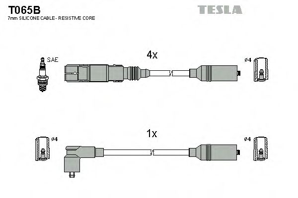 T065B TESLA   