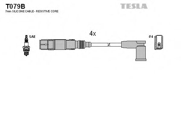 T079B TESLA   