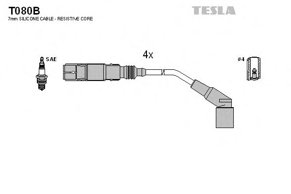 T080B TESLA   