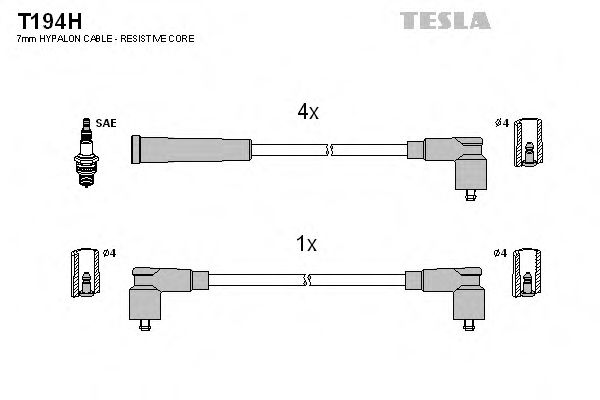 T194H TESLA   