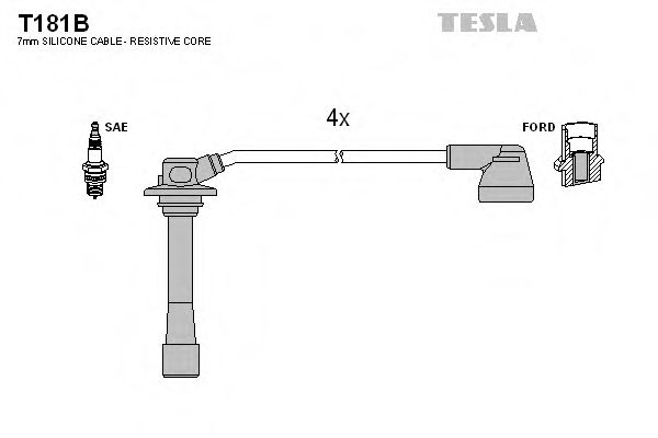 T181B TESLA   