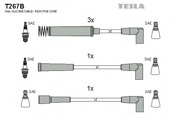 T267B TESLA   