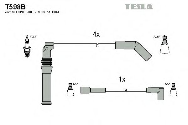 T598B TESLA   