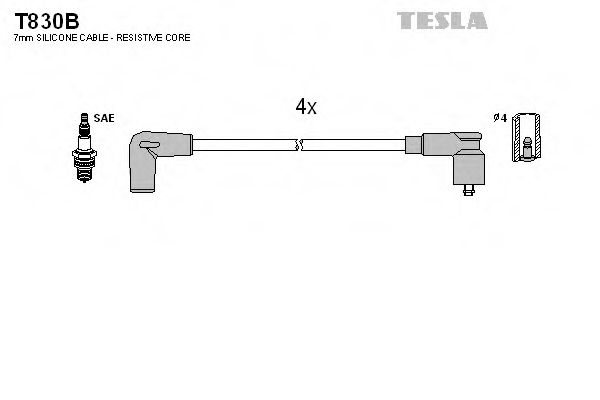 T830B TESLA   