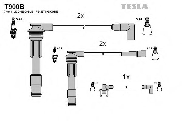 T900B TESLA   