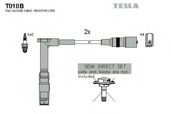 T010B TESLA   