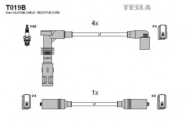 T019B TESLA   