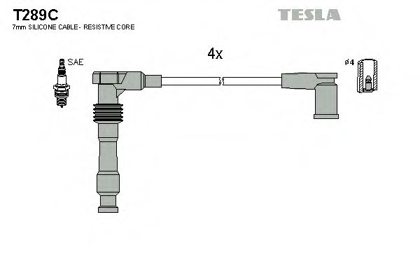 T289C TESLA   