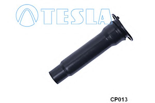 CP013 TESLA ,  