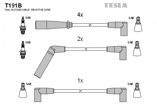 T191B TESLA   