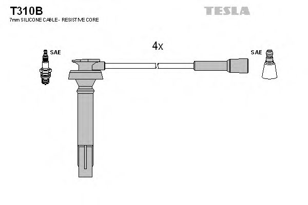 T310B TESLA   