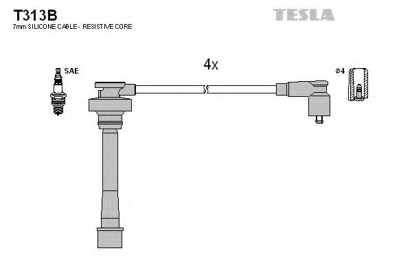 T313B TESLA   