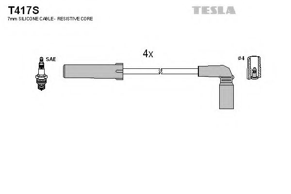 T417S TESLA   