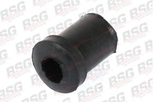 BSG 30-700-005 BSG , 