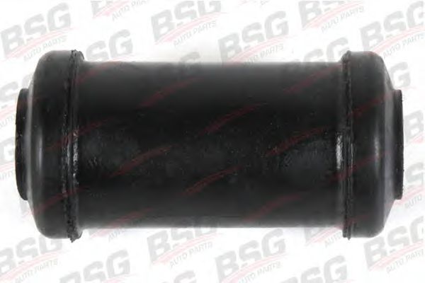 BSG 30-700-010 BSG ,    