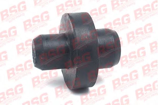 BSG 30-700-027 BSG , 