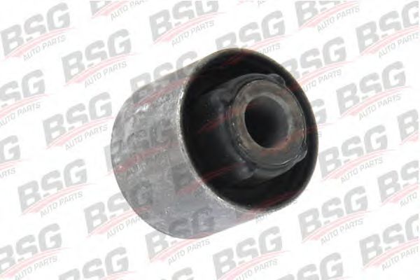 BSG 30-700-261 BSG ,    