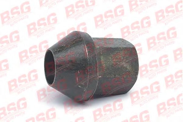 BSG 30-230-021 BSG   