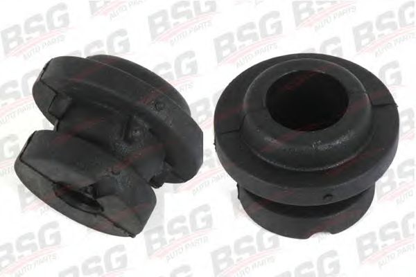 BSG 30-700-110 BSG  , 