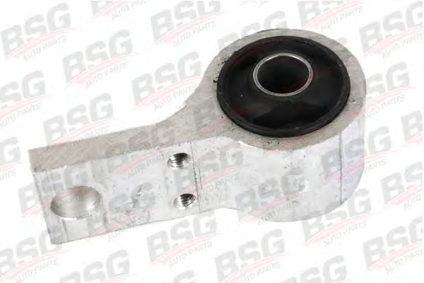 BSG 30-700-316 BSG ,   