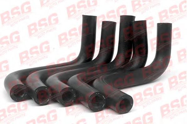 BSG 30-720-022 BSG  