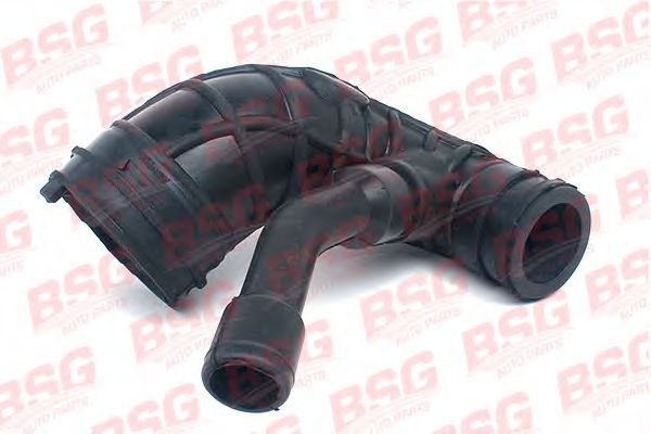 BSG 30-720-045 BSG ,   