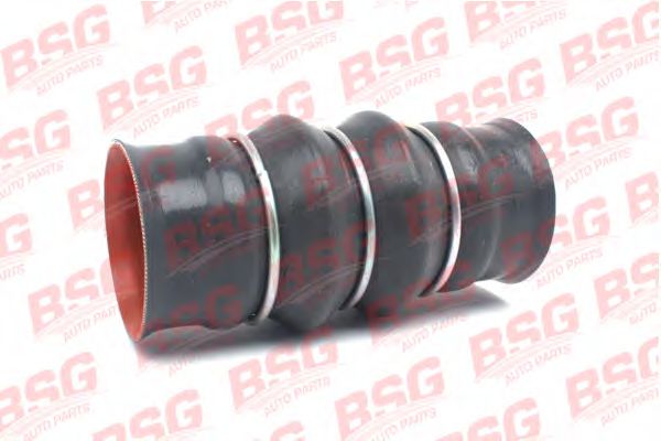 BSG 30-720-094 BSG   