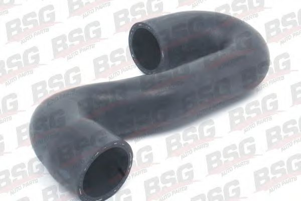 BSG 65-720-018 BSG  