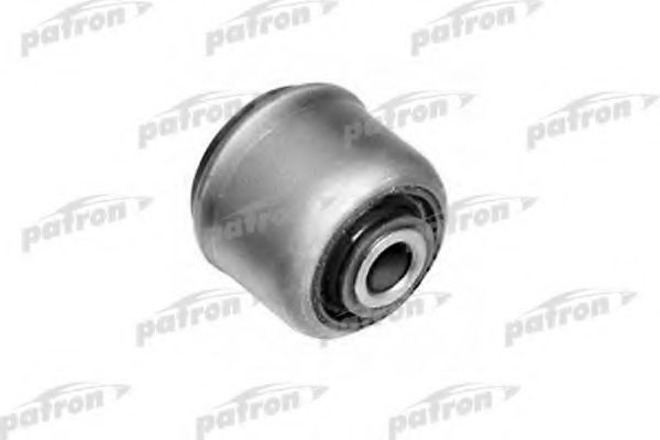 PSE1209 PATRON ,    