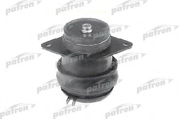 PSE3068 PATRON , 